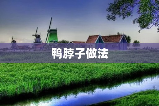 鸭脖子做法:香辣酥脆美味的自制小吃 鸭脖子做法:香辣酥脆美味的自制小吃