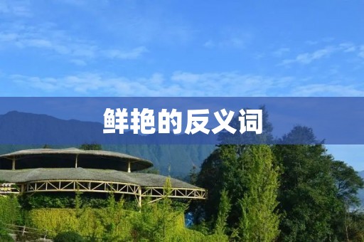 鲜艳的反义词:用色彩丰富描绘生活的美好