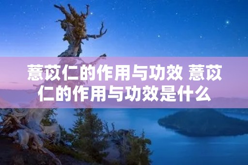 薏苡仁的作用与功效 薏苡仁的作用与功效是什么