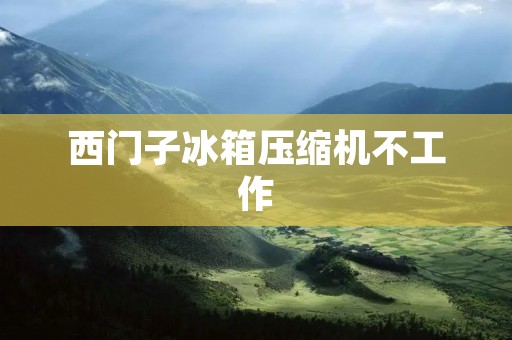 西门子冰箱压缩机不工作:可能的原因及解决方法 西门子冰箱压缩机不工作:可能的原因及解决方法