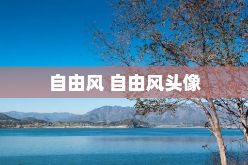 自由风 自由风头像 自由风 自由风头像