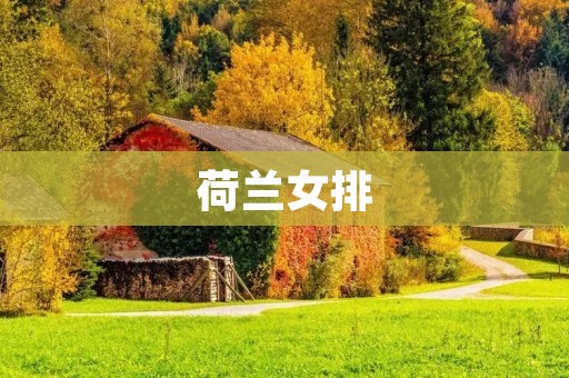 荷兰女排：实力强劲，为世界瞩目的强队