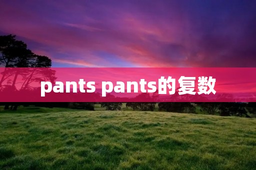 pants pants的复数