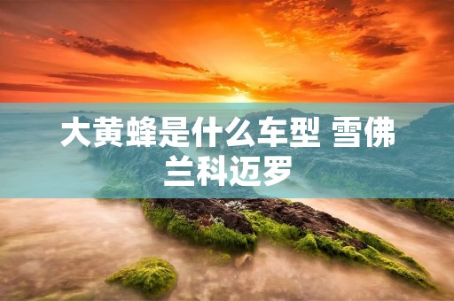 大黄蜂是什么车型 雪佛兰科迈罗 大黄蜂是什么车型 雪佛兰科迈罗