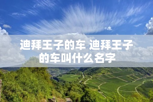 迪拜王子的车 迪拜王子的车叫什么名字 迪拜王子的车 迪拜王子的车叫什么名字