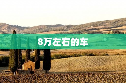 8万左右的车:性价比之选 8万左右的车:性价比之选