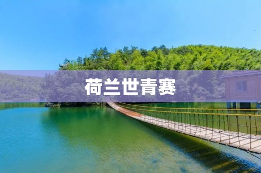 荷兰世青赛：未来之星的舞台