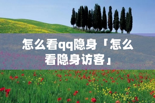 怎么看qq隐身「怎么看隐身访客」