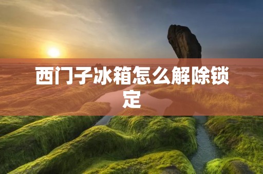 西门子冰箱怎么解除锁定：详细解析