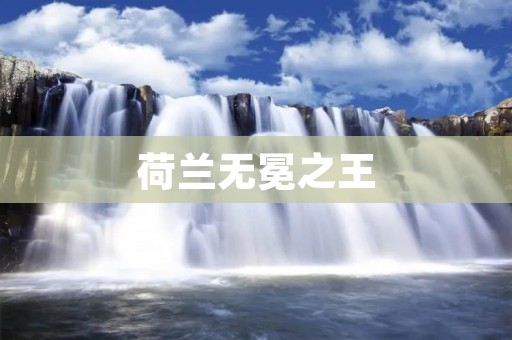 荷兰无冕之王：威廉-亚历山大的传奇故事