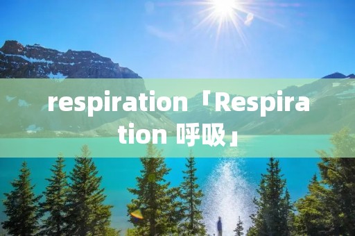 respiration「Respiration 呼吸」 respiration「Respiration 呼吸」