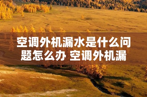 空调外机漏水是什么问题怎么办 空调外机漏水原因及解决办法