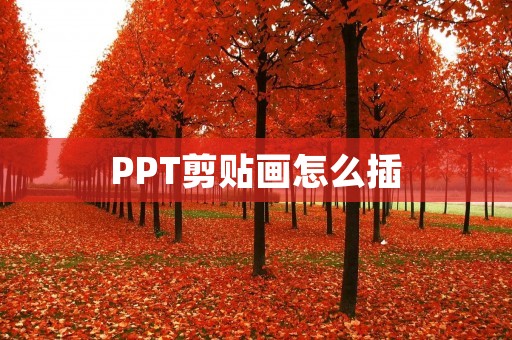 PPT剪贴画怎么插：让你的演示更生动