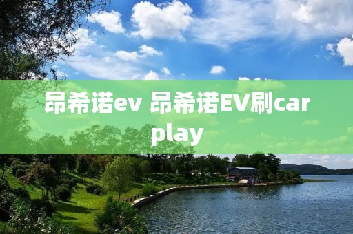 昂希诺ev 昂希诺EV刷carplay
