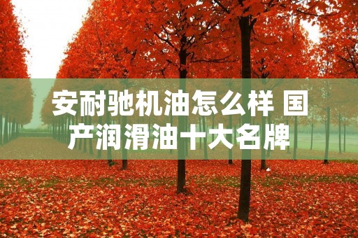 安耐驰机油怎么样 国产润滑油十大名牌