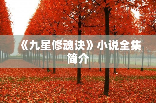 《九星修魂诀》小说全集简介