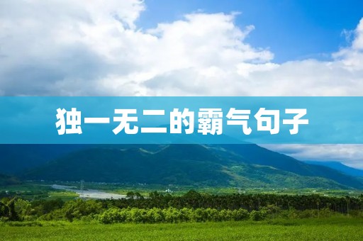 独一无二的霸气句子:如何用一句话震慑所有人? 独一无二的霸气句子:如何用一句话震慑所有人?