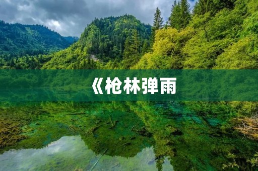 《枪林弹雨:单机枪战游戏手机版》- 重温经典射击游戏