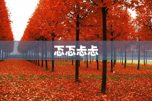 忑忑忐忐:当焦虑成为常态