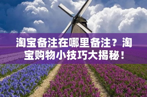 淘宝备注在哪里备注？淘宝购物小技巧大揭秘！