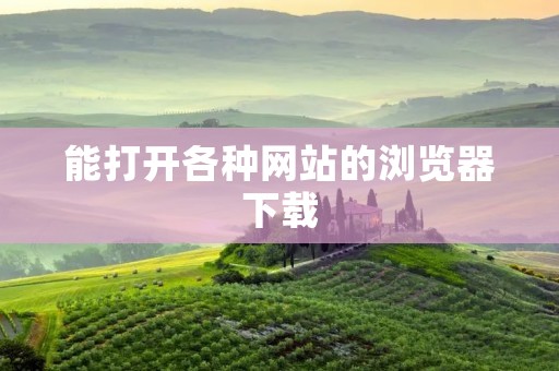 能打开各种网站的浏览器下载