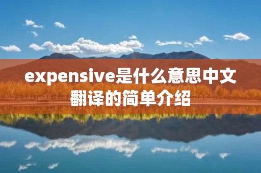 expensive是什么意思中文翻译的简单介绍 expensive是什么意思中文翻译的简单介绍