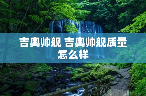 吉奥帅舰 吉奥帅舰质量怎么样