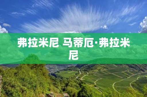 弗拉米尼 马蒂厄·弗拉米尼