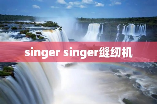 singer singer缝纫机