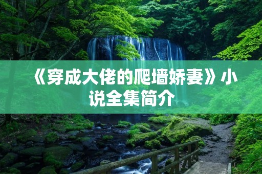 《穿成大佬的爬墙娇妻》小说全集简介