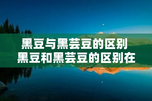 黑豆与黑芸豆的区别 黑豆和黑芸豆的区别在哪?