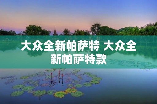 大众全新帕萨特 大众全新帕萨特款