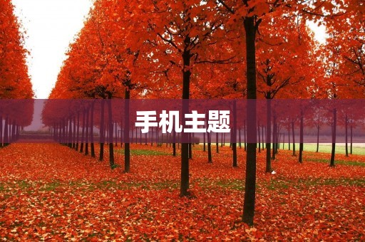 手机主题：个性化打造你的手机