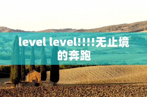 level level!!!!无止境的奔跑