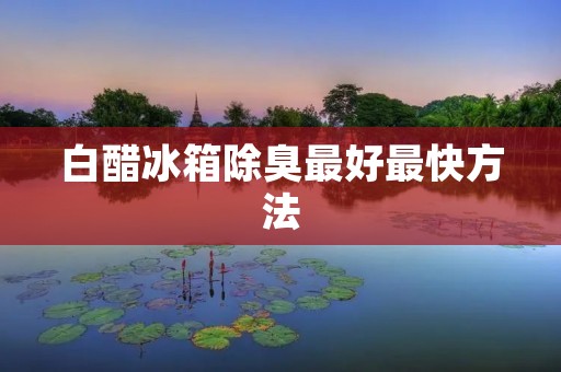 白醋冰箱除臭最好最快方法:告别异味的神奇利器 白醋冰箱除臭最好最快方法:告别异味的神奇利器