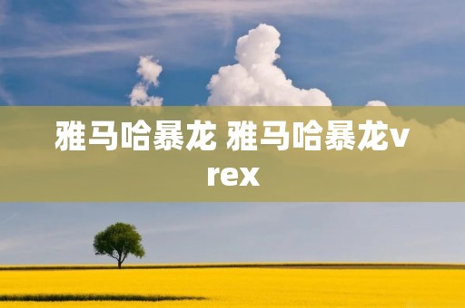 雅马哈暴龙 雅马哈暴龙vrex