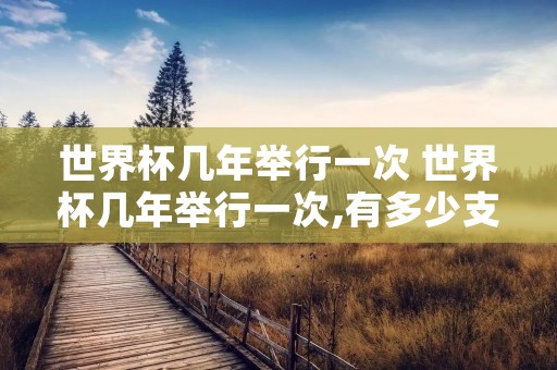 世界杯几年举行一次 世界杯几年举行一次,有多少支球队参与 世界杯几年举行一次 世界杯几年举行一次,有多少支球队参与