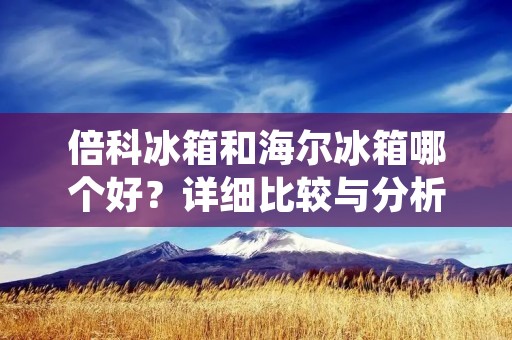 倍科冰箱和海尔冰箱哪个好？详细比较与分析
