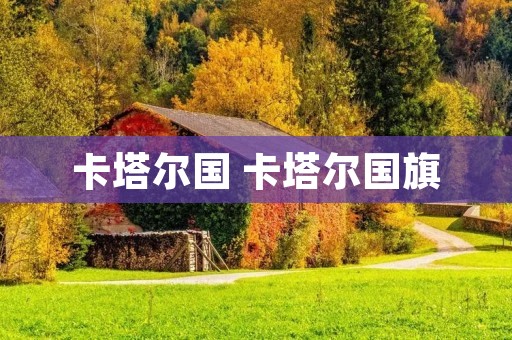 卡塔尔国 卡塔尔国旗