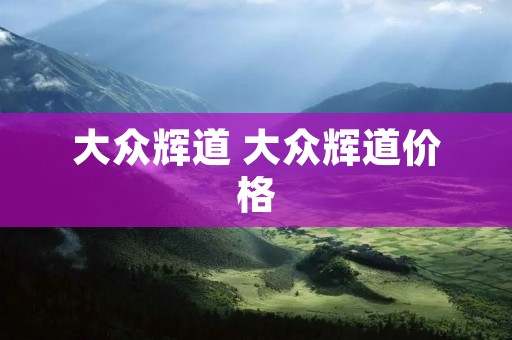 大众辉道 大众辉道价格