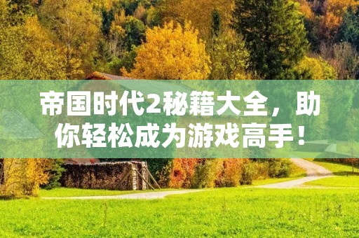 帝国时代2秘籍大全，助你轻松成为游戏高手！