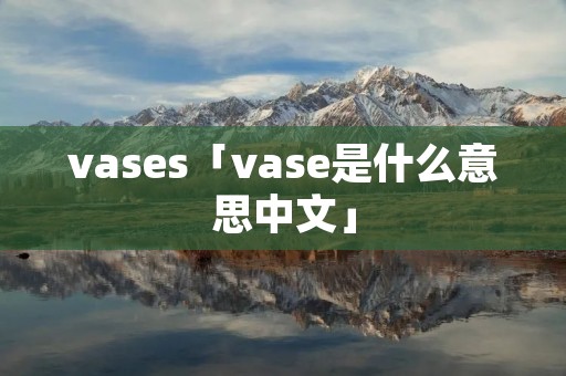 vases「vase是什么意思中文」