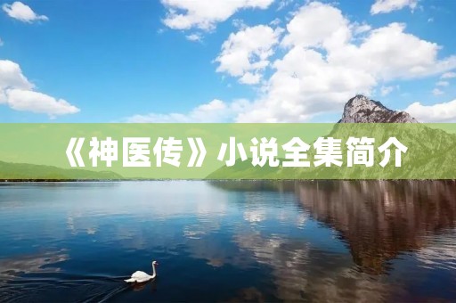 《神医传》小说全集简介