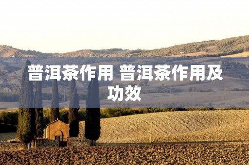 普洱茶作用 普洱茶作用及功效