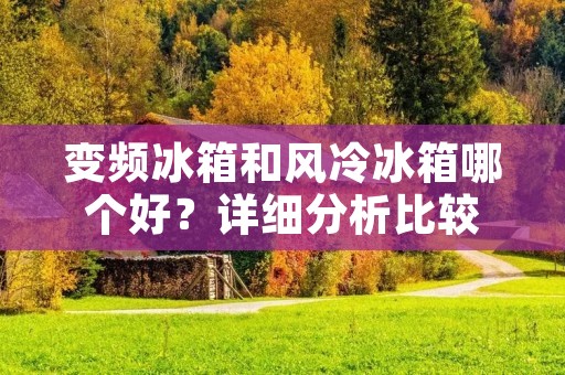 变频冰箱和风冷冰箱哪个好？详细分析比较