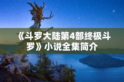 《斗罗大陆第4部终极斗罗》小说全集简介