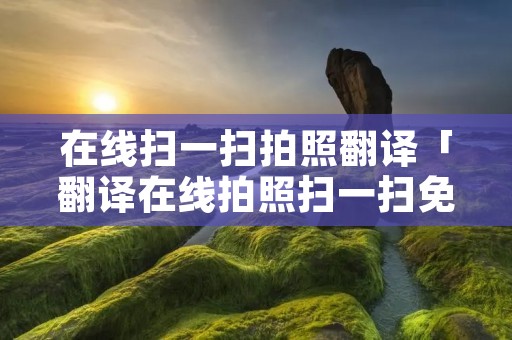在线扫一扫拍照翻译「翻译在线拍照扫一扫免费」