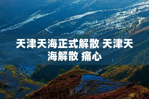 天津天海正式解散 天津天海解散 痛心