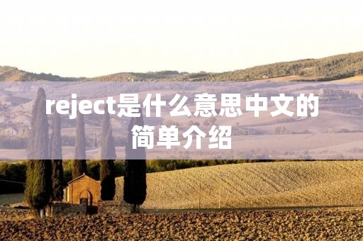 reject是什么意思中文的简单介绍