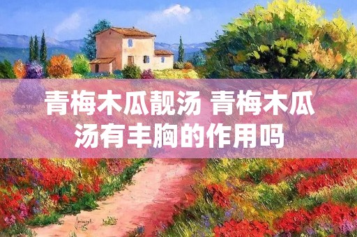 青梅木瓜靓汤 青梅木瓜汤有丰胸的作用吗